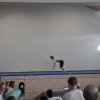 Einweihung TV Halle